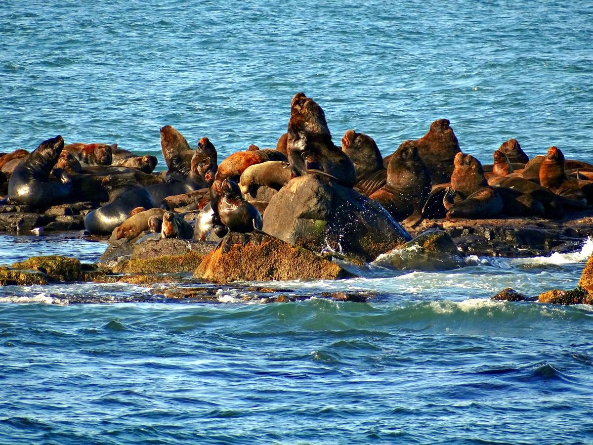 Pousada Recanto Da Prainha ตอร์เฮส ภายนอก รูปภาพ